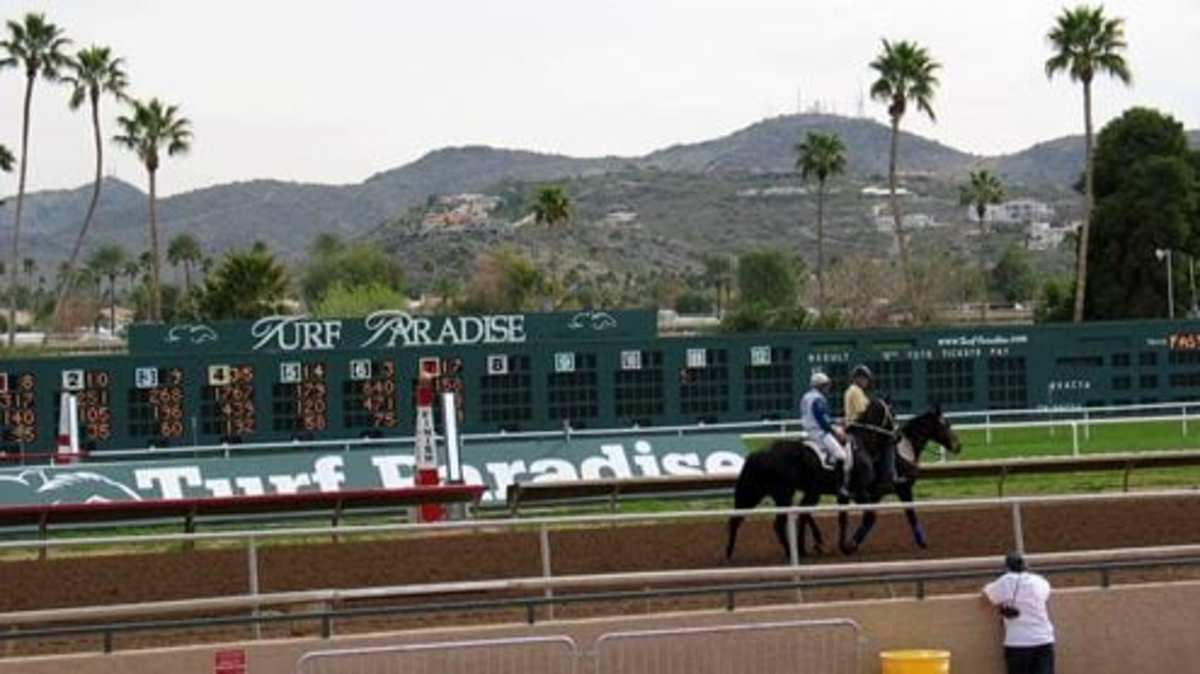 Two Riders Injured, Two Horses Die In Turf Paradise Race – Horse Racing News