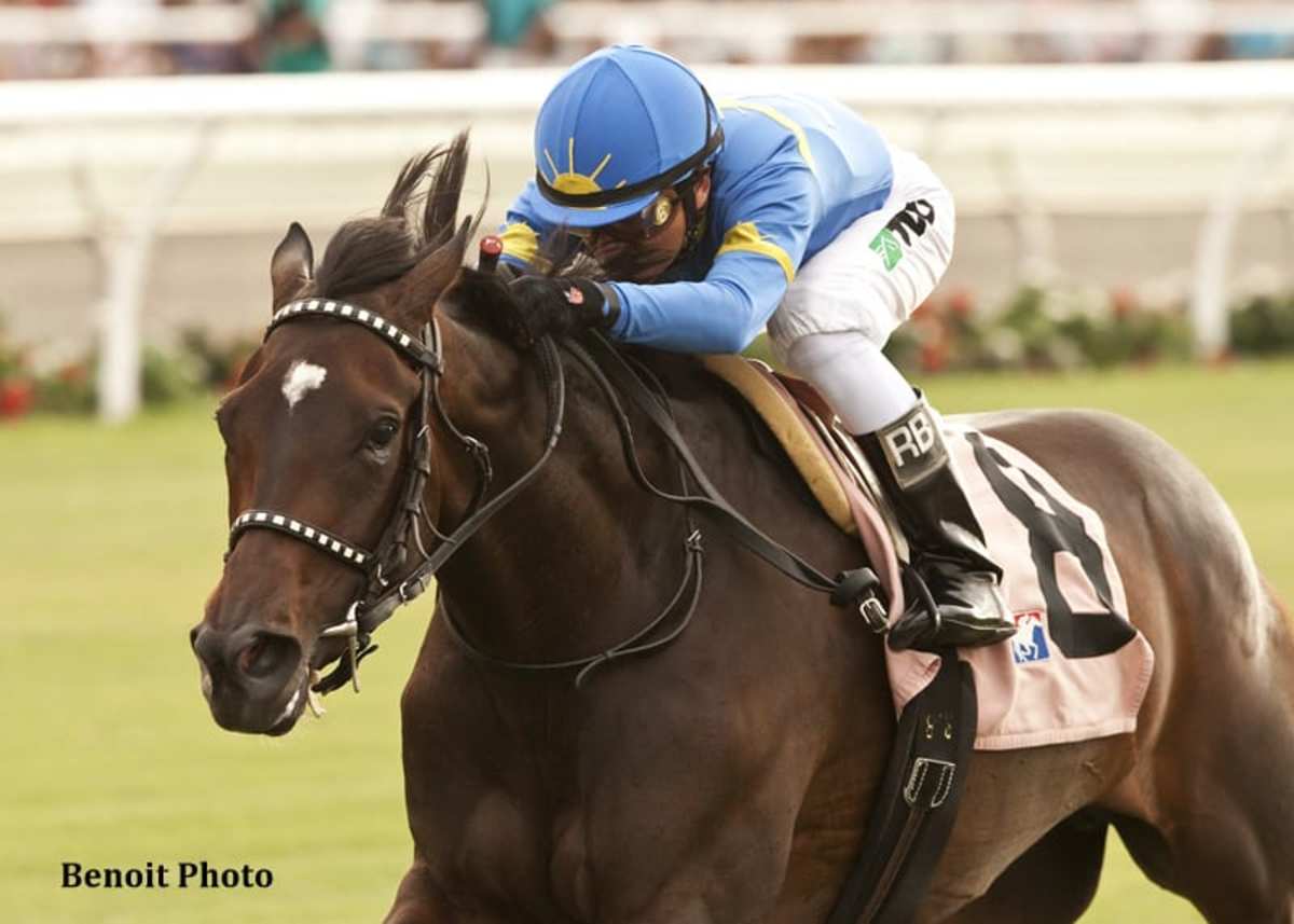 Pacesetting Istanford Wires San Clemente Horse Racing News Paulick