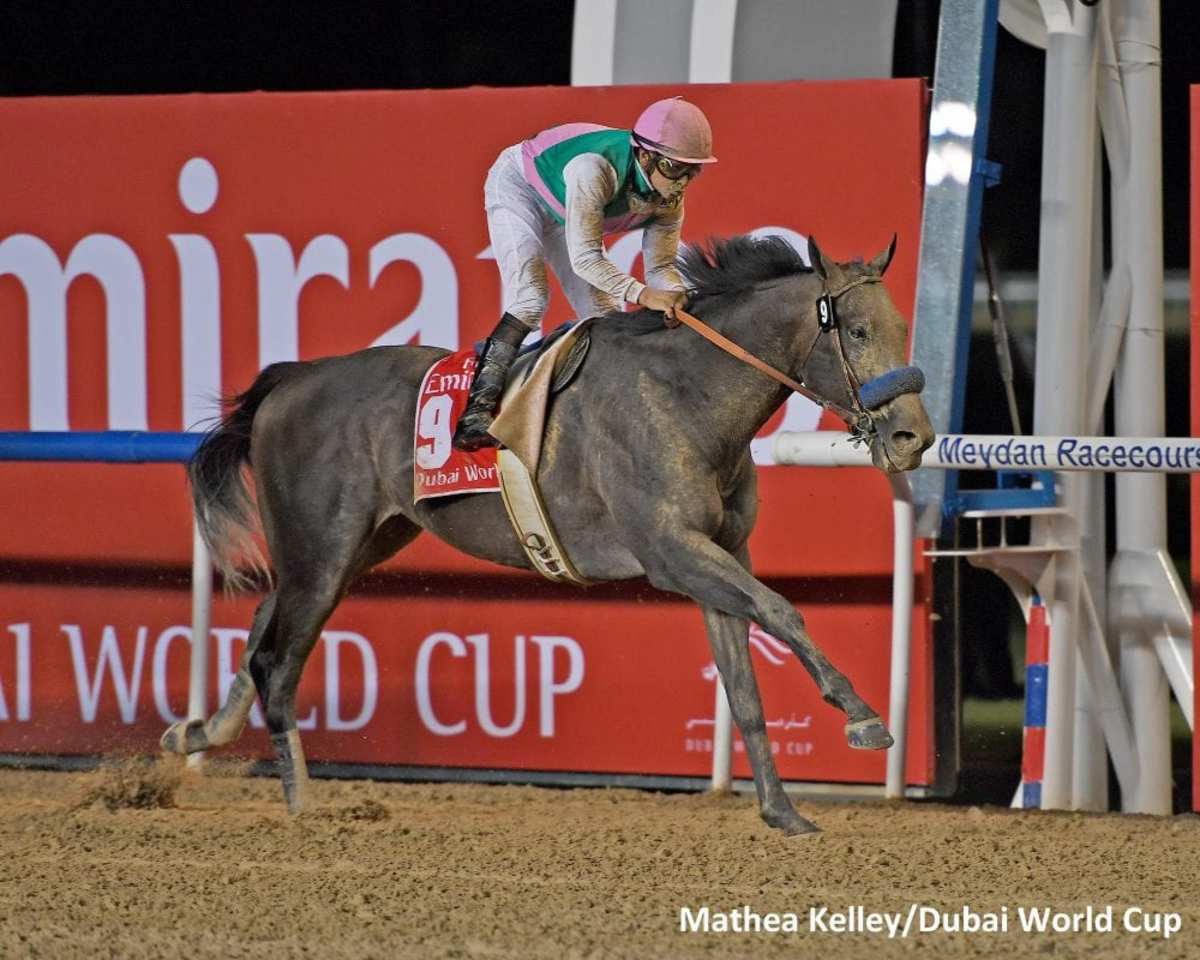 World's Richest Horse Race Sheikh Mohammed Plans Purse Increase For
