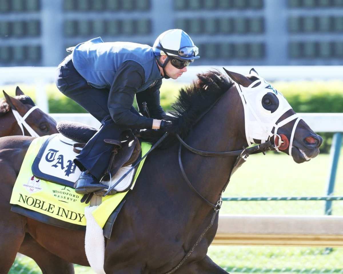 A Gelded Noble Indy Back, Ready For Return To Graded Stakes In New