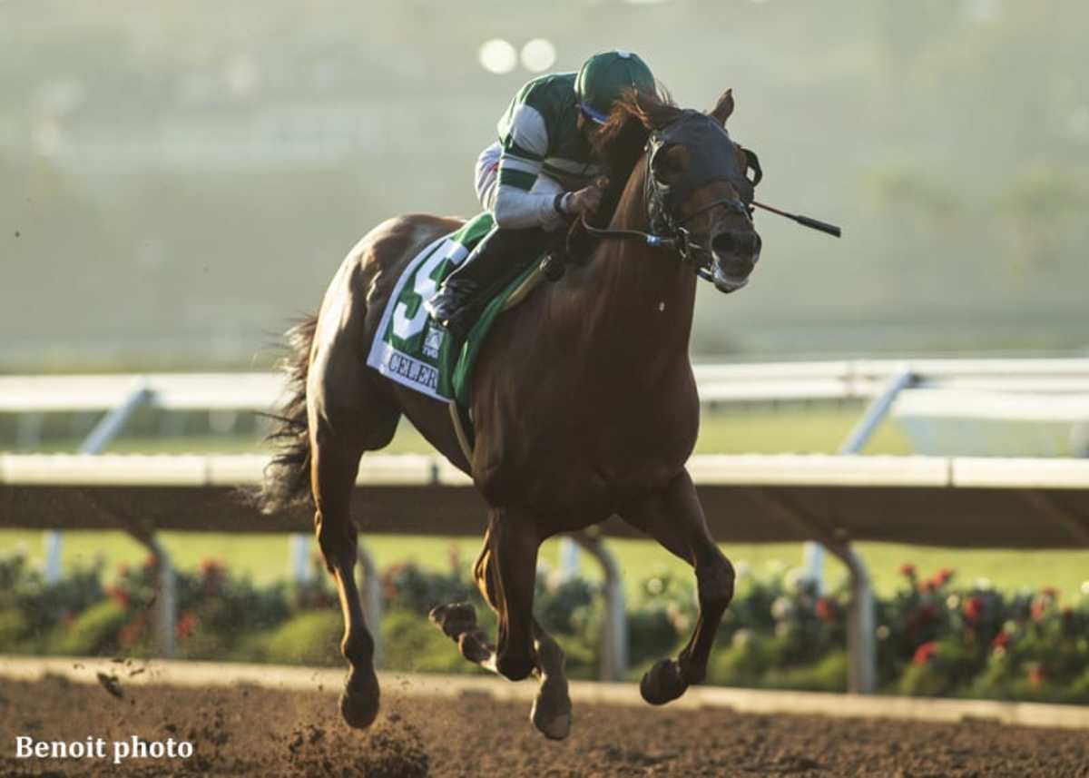 Pacific Classic Winner Accelerate Voted Del Mar Horse Of The Meet