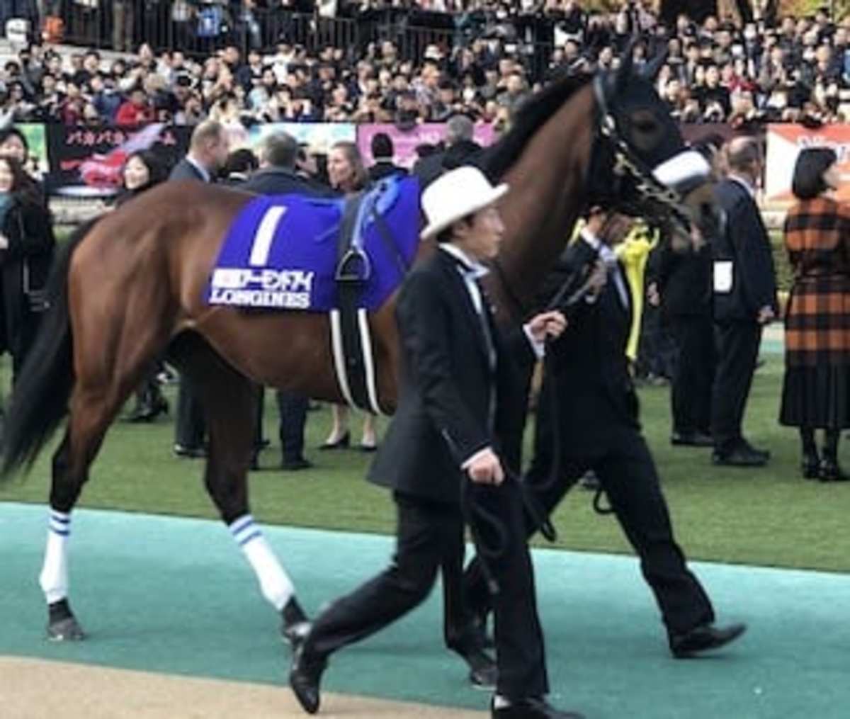 Almond Eye Unanimously Voted To Horse Of The Year Title In Japan ...