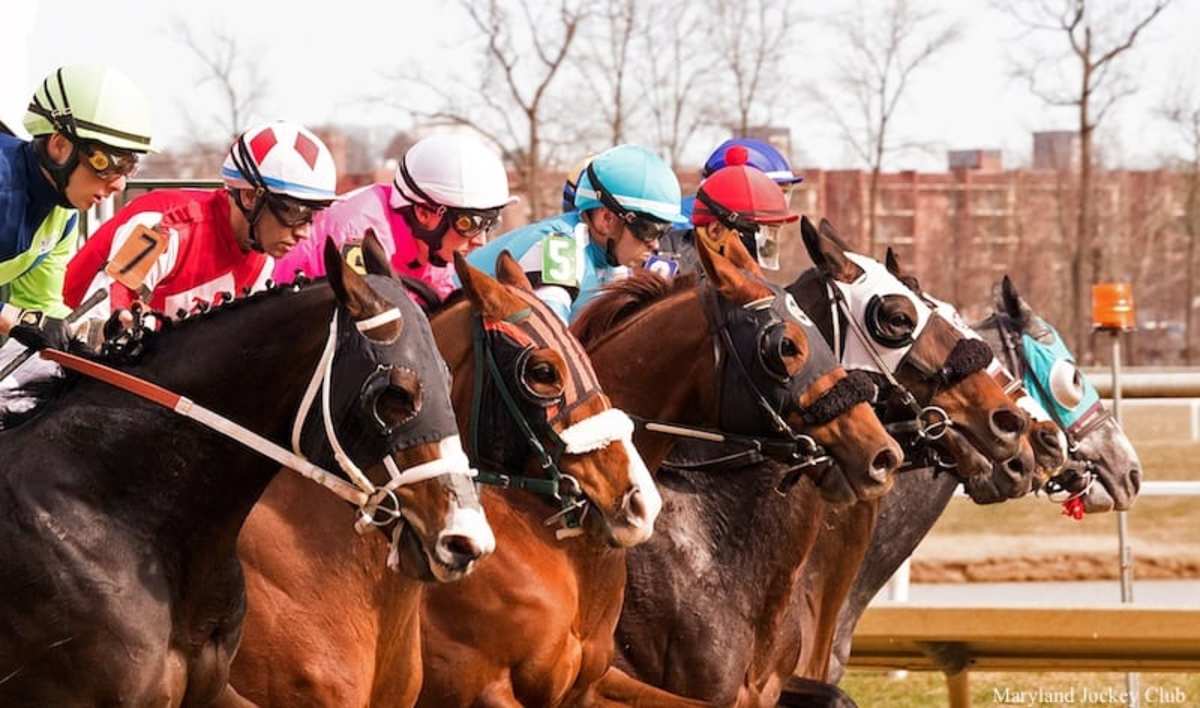 Plan for upgrading Pimlico, other thoroughbred tracks passes Md. Senate -  Maryland Daily Record