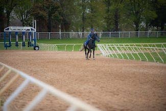 Pike Racing To Relocate Operations To Highlander Training Center - Horse Racing News - Vimarsana News