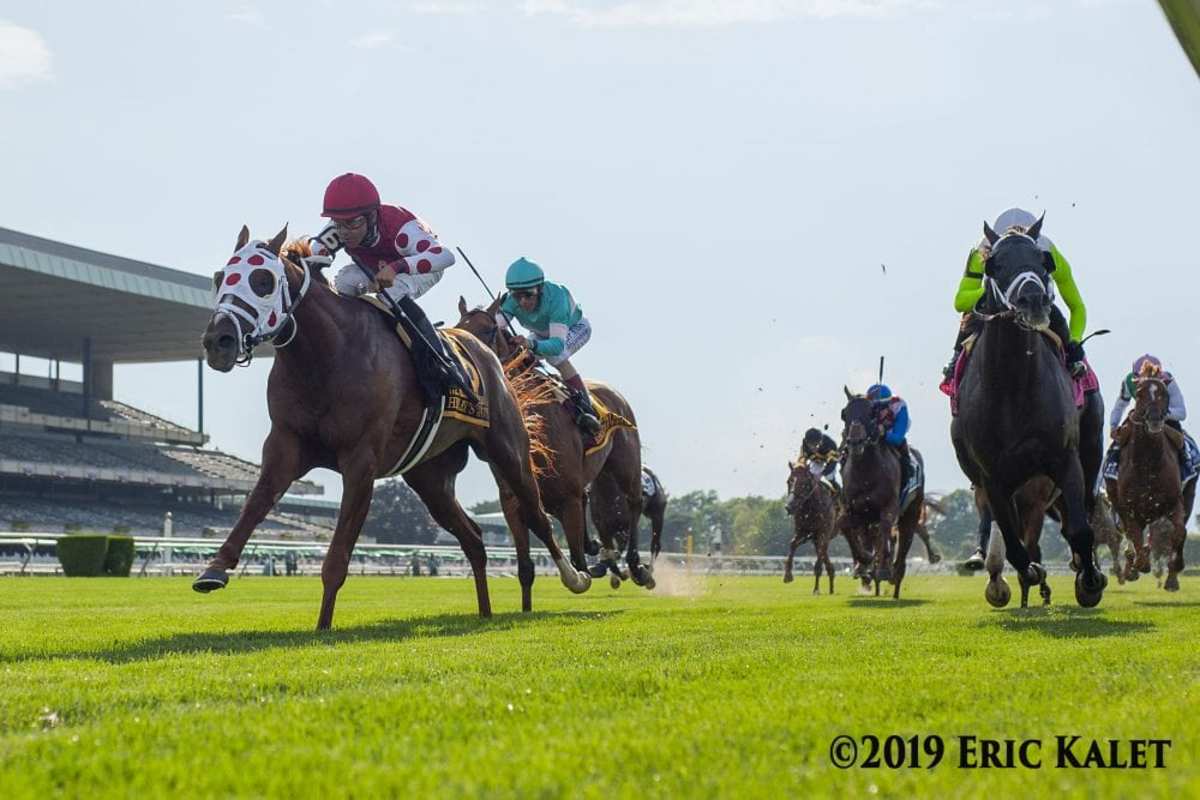 Henley's Joy Springs 201 Upset In Belmont Derby Horse Racing News
