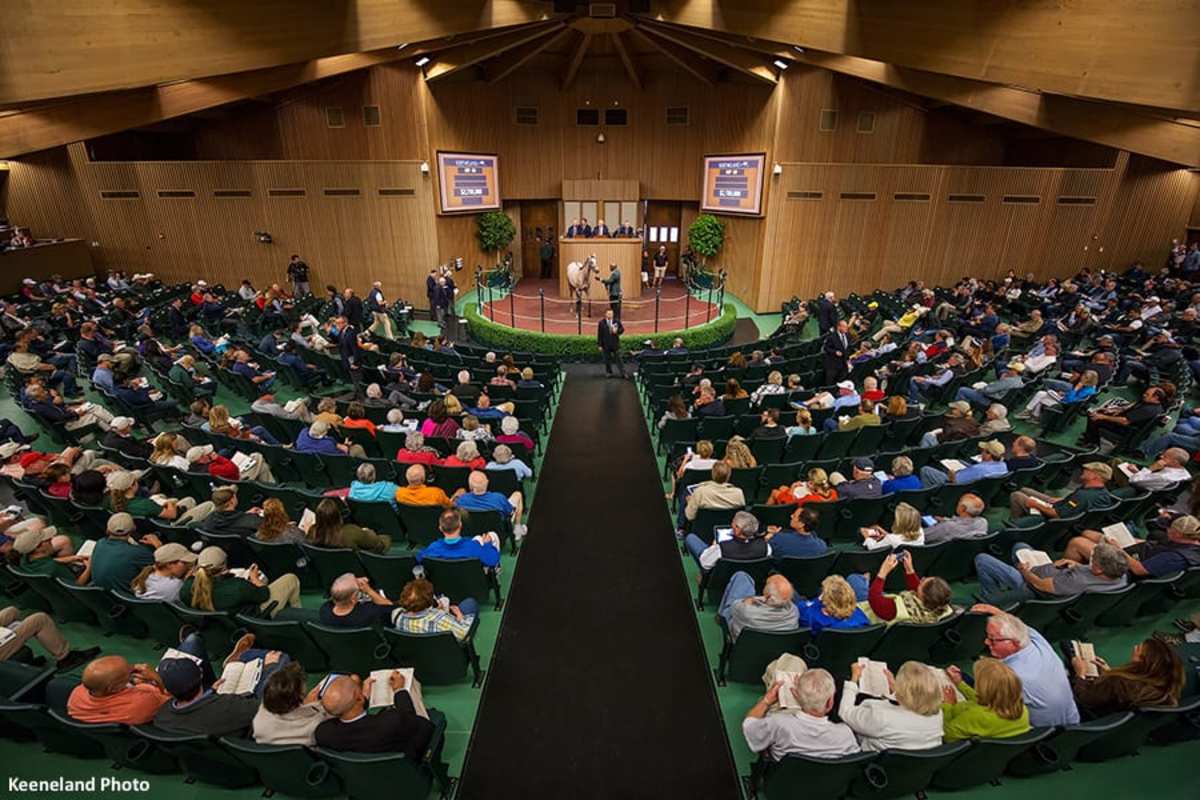 Keeneland Catalogs 4,147 Horses For 2022 September Yearling Sale – Horse Racing News