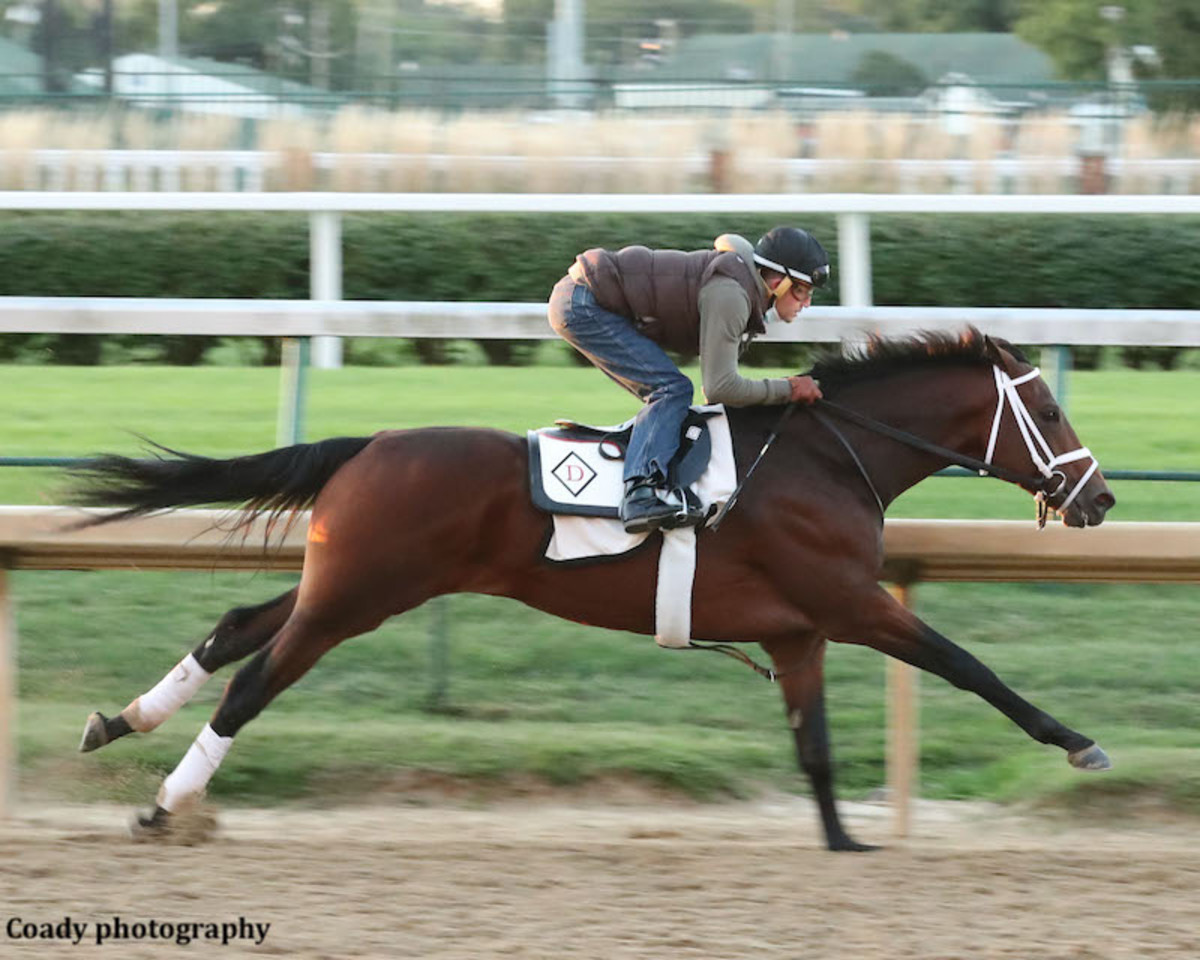 'We'll Take Our Best Shot' Art Collector In 'Stiff' Work For Preakness