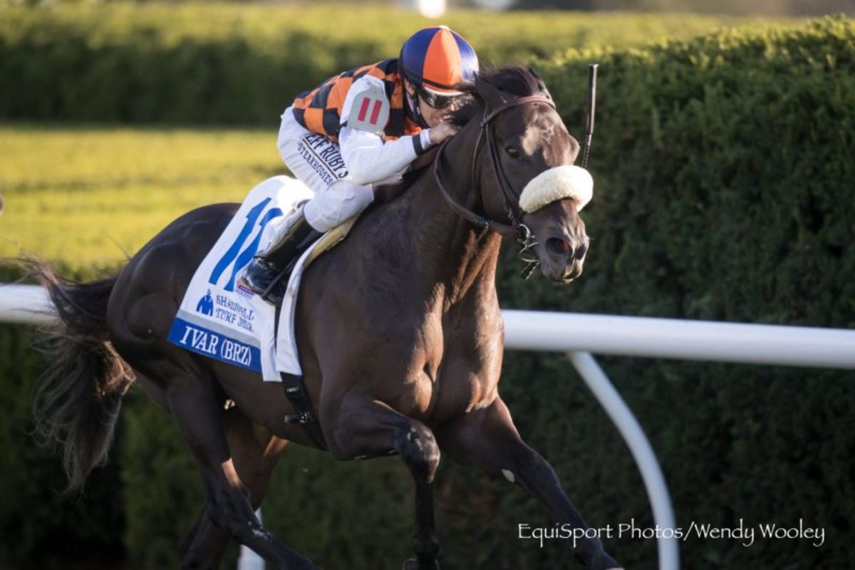 Lobo: Ivar In Fine Fettle For Pegasus World Cup Turf Bid – Horse Racing News