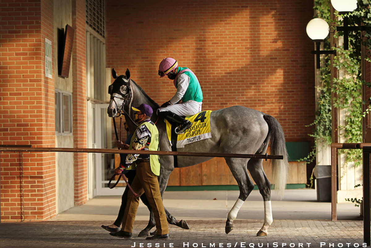 Unbeaten Happy Saver Gives Pletcher First Jockey Club Gold Cup Triumph