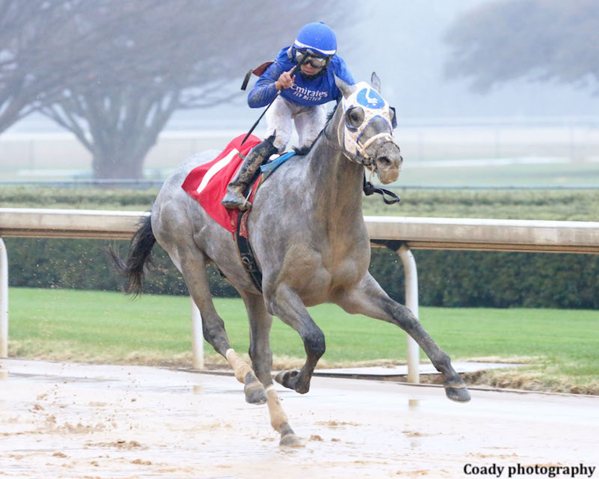 Seasoned Horse Essential Quality Arrives In Kentucky For Blue Grass Stakes Horse Racing News Paulick Report