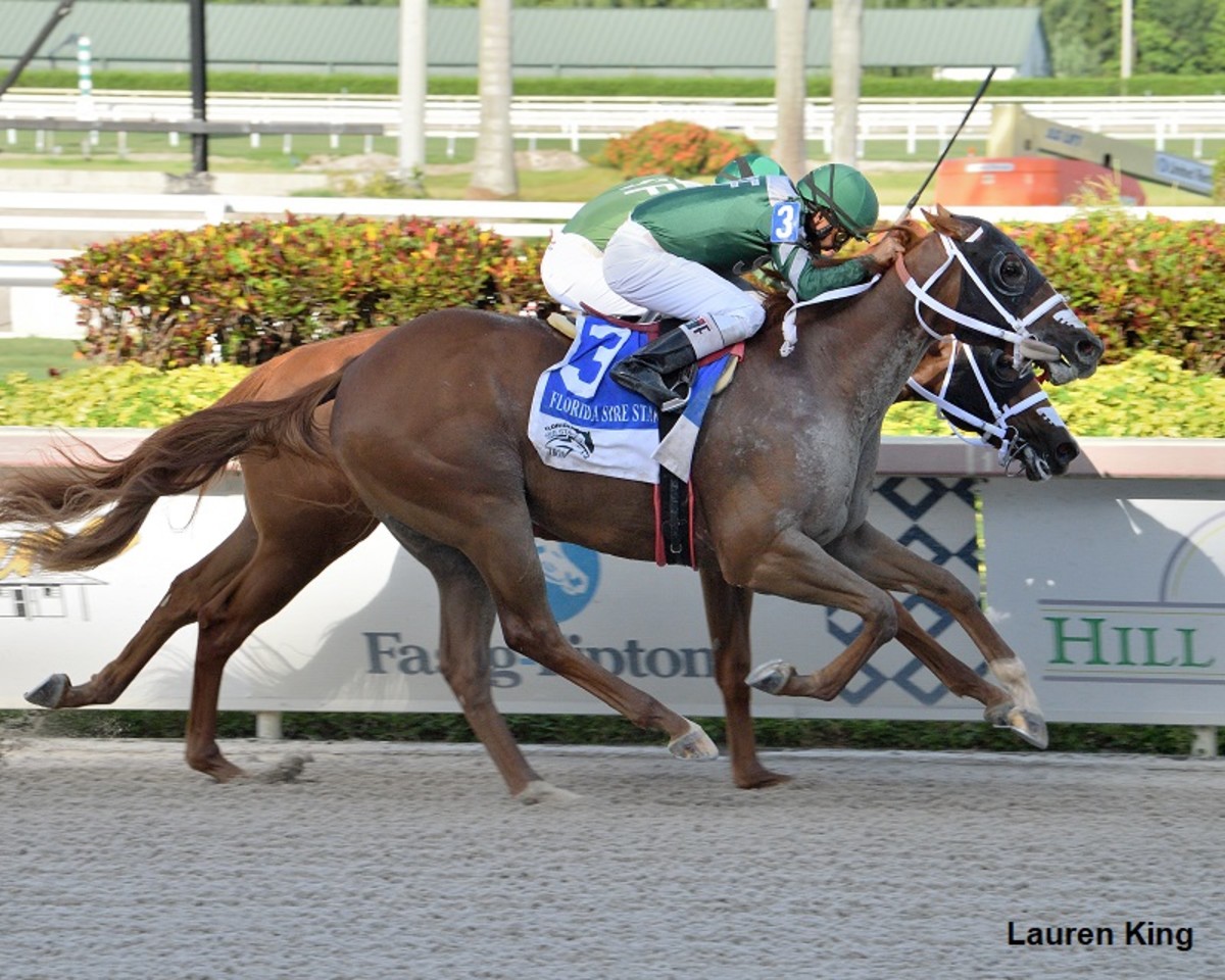 Cajun's Magic Delivers A Win In Dr. Fager At Gulfstream - Horse Racing ...