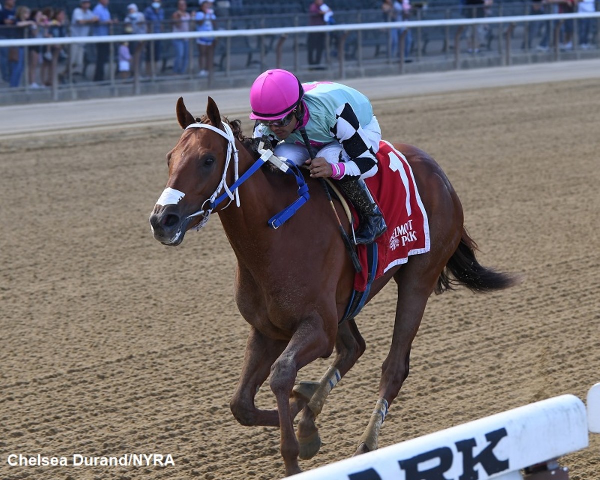 Jockey Switch For Shipsational in Florida Derby – Horse Racing News