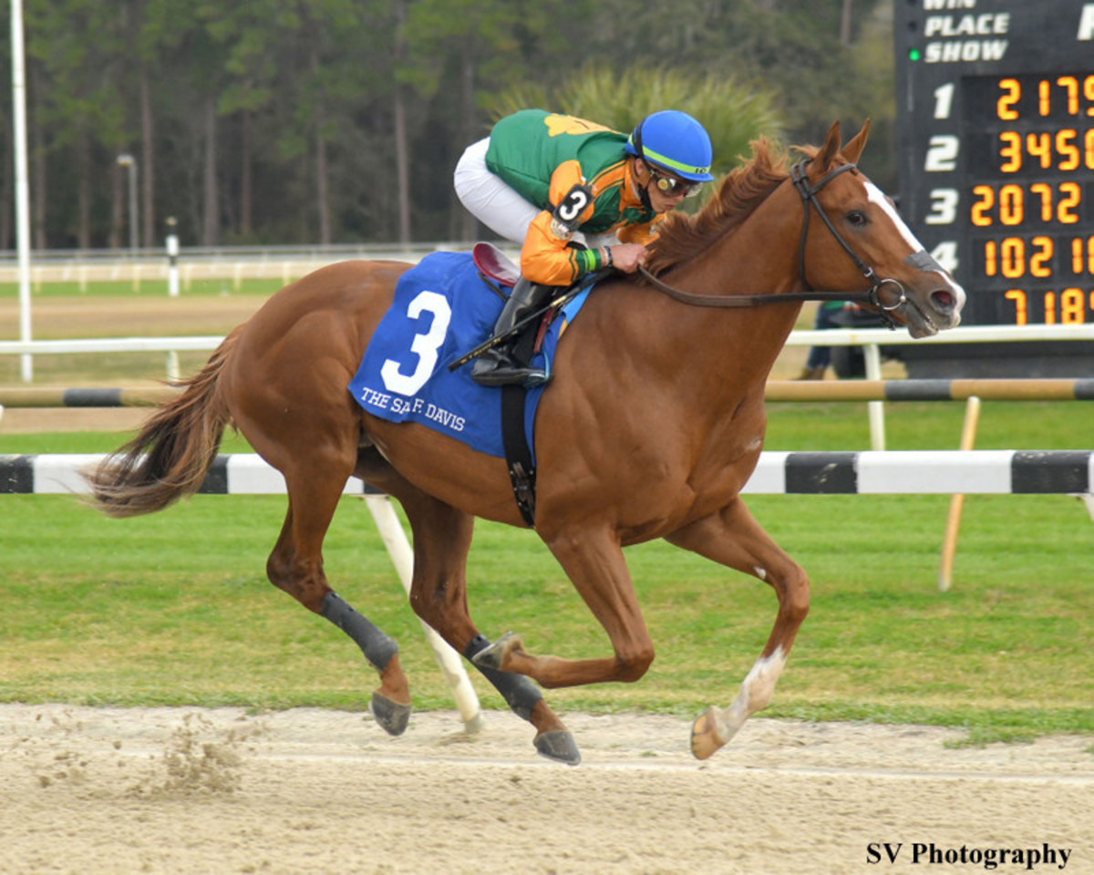 Classic Causeway Heads Tampa Bay Derby Nominations – Horse Racing News