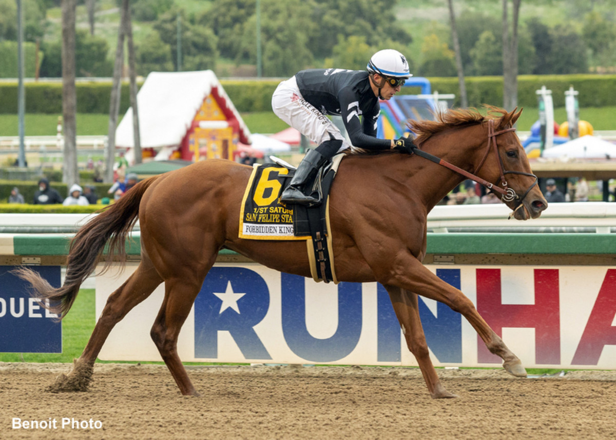 Forbidden Kingdom Looks To Regain Winning Ways In San Carlos – Horse Racing News | Paulick Report