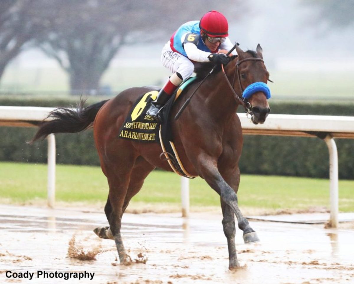 Unbeaten .3-Million Arabian Knight Off Kentucky Derby Trail – Horse Racing News