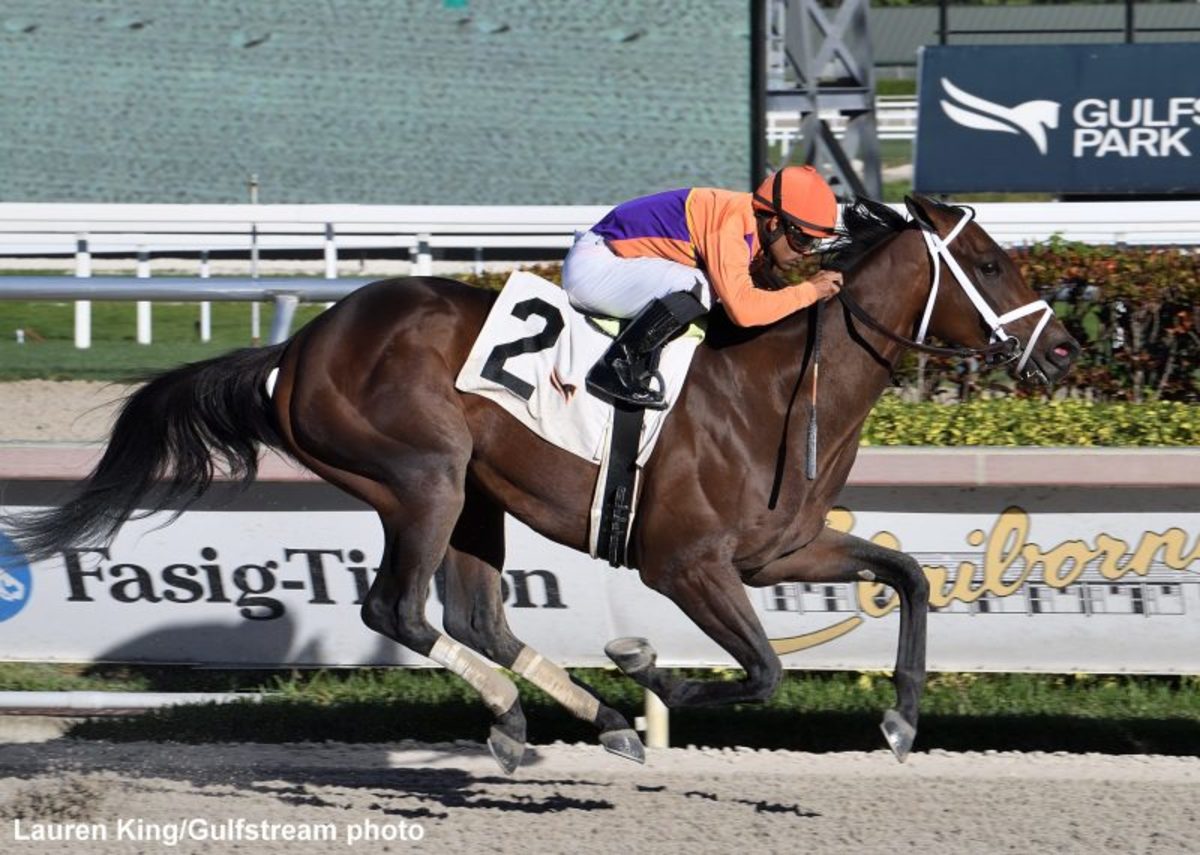 ‘The Dream Is Alive, Right?’: Pletcher Saddles Pair Of Promising 3YO Debut Winners At Gulfstream – Horse Racing News
