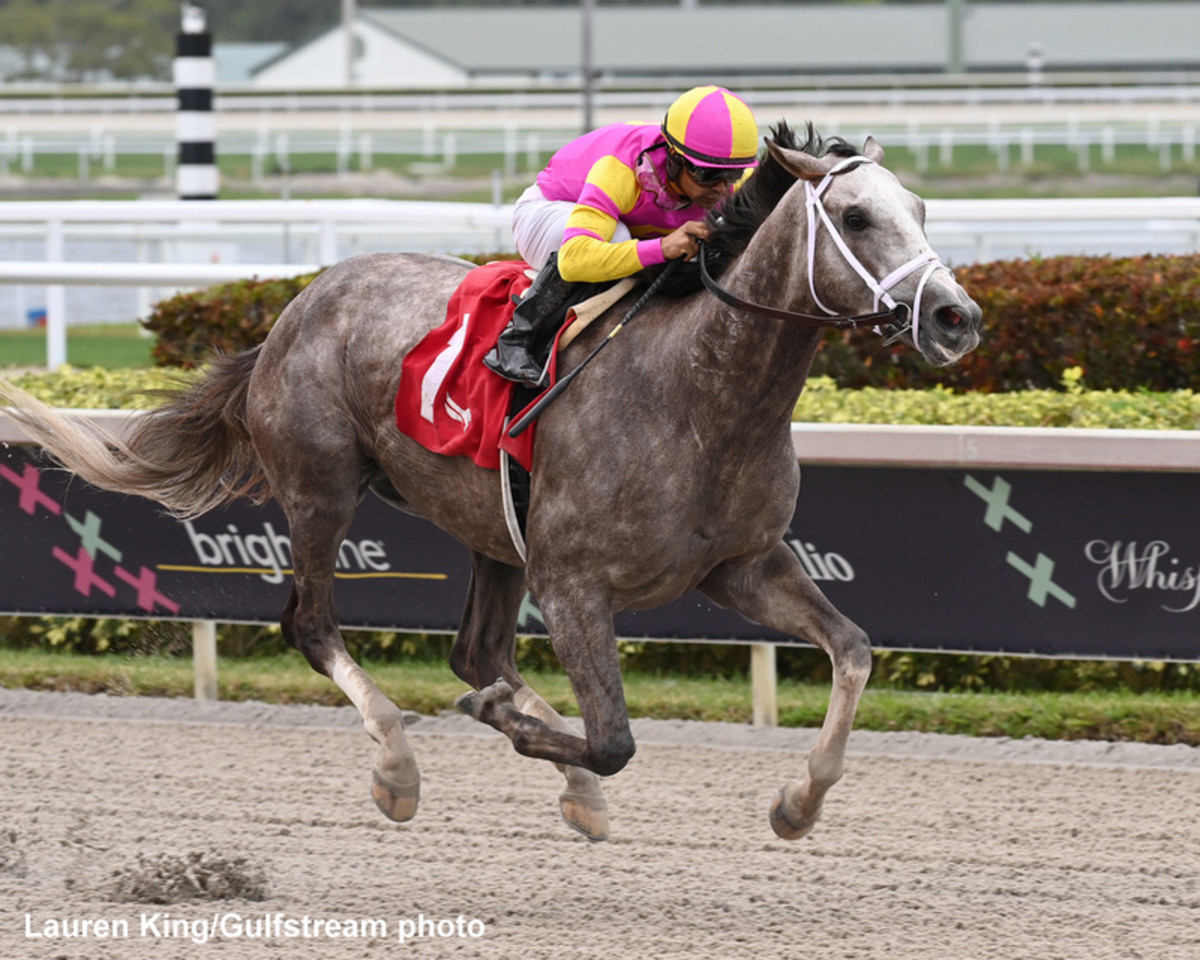 Pletcher Has Solid Duo In Quest For Sixth Tampa Bay Derby Triumph – Horse Racing News