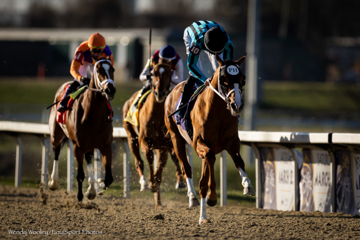 Kentucky Derby RunnerUp Two Phil’s To Stand At WinStar Farm Horse