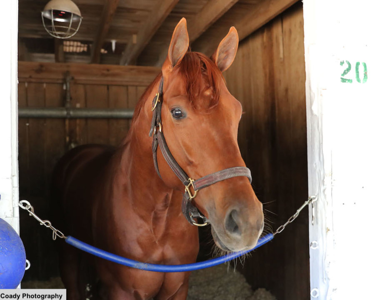 Disarm Looking For Kentucky Derby Points In Stonestreet Lexington