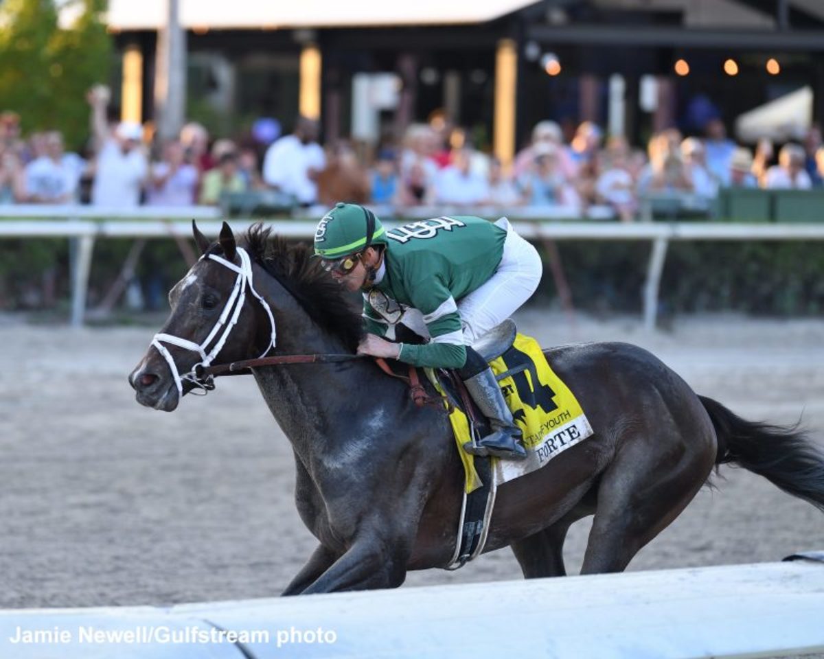 Road To Kentucky Derby Champion Forte 'Checking All The Boxes' With
