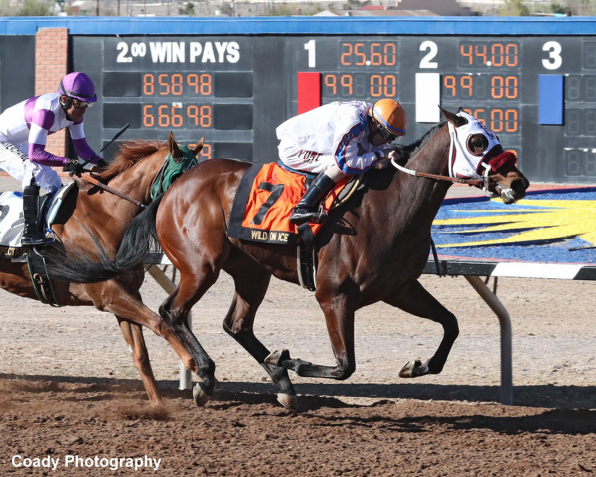 Wild On Ice Springs 35-1 Upset In Sunland Park Derby – Horse Racing News