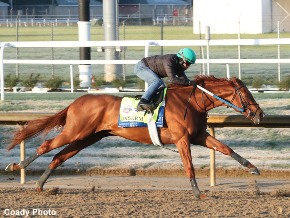 Kentucky Derby Update Disarm 'Well Within Himself' During Crisp Monday