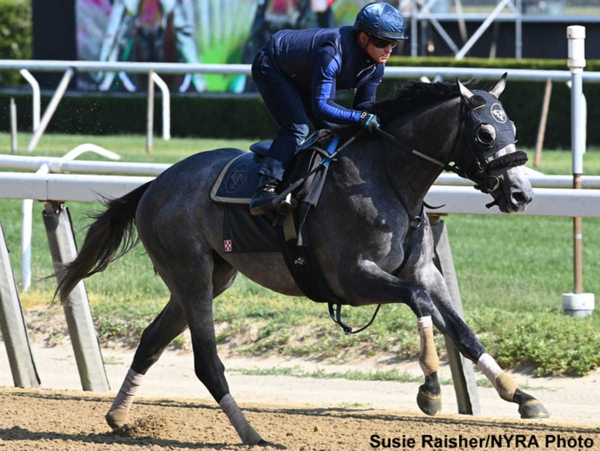 'We'll Give Him The Opportunity' Peter Pan Winner Arcangelo Works