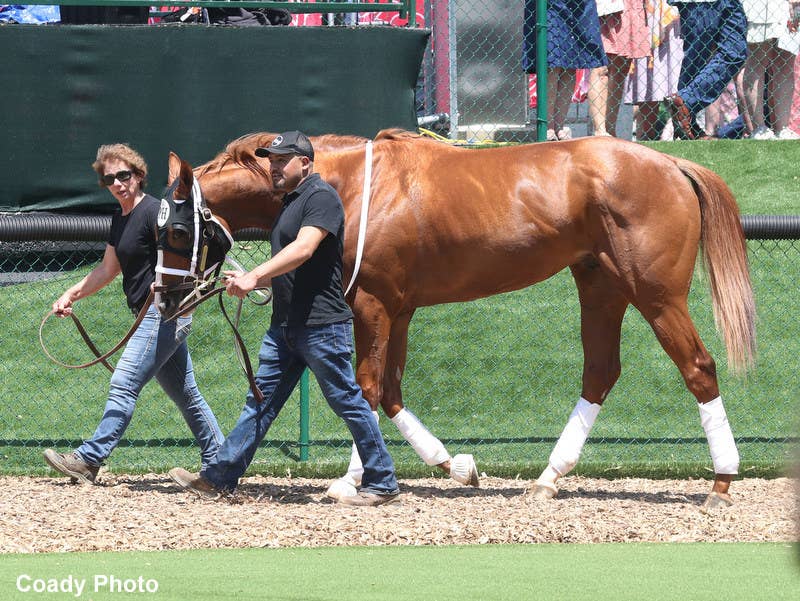 Weekend Lineup Presented By Monmouth Park: Derby Runner-Up Star Of The Show In Ohio - Horse Racing News - Vimarsana News